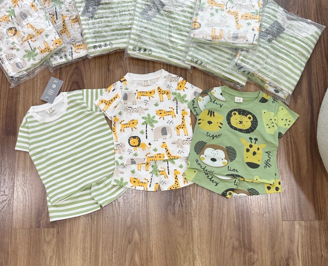SET 3 BỘ SƯ TỬ XANH