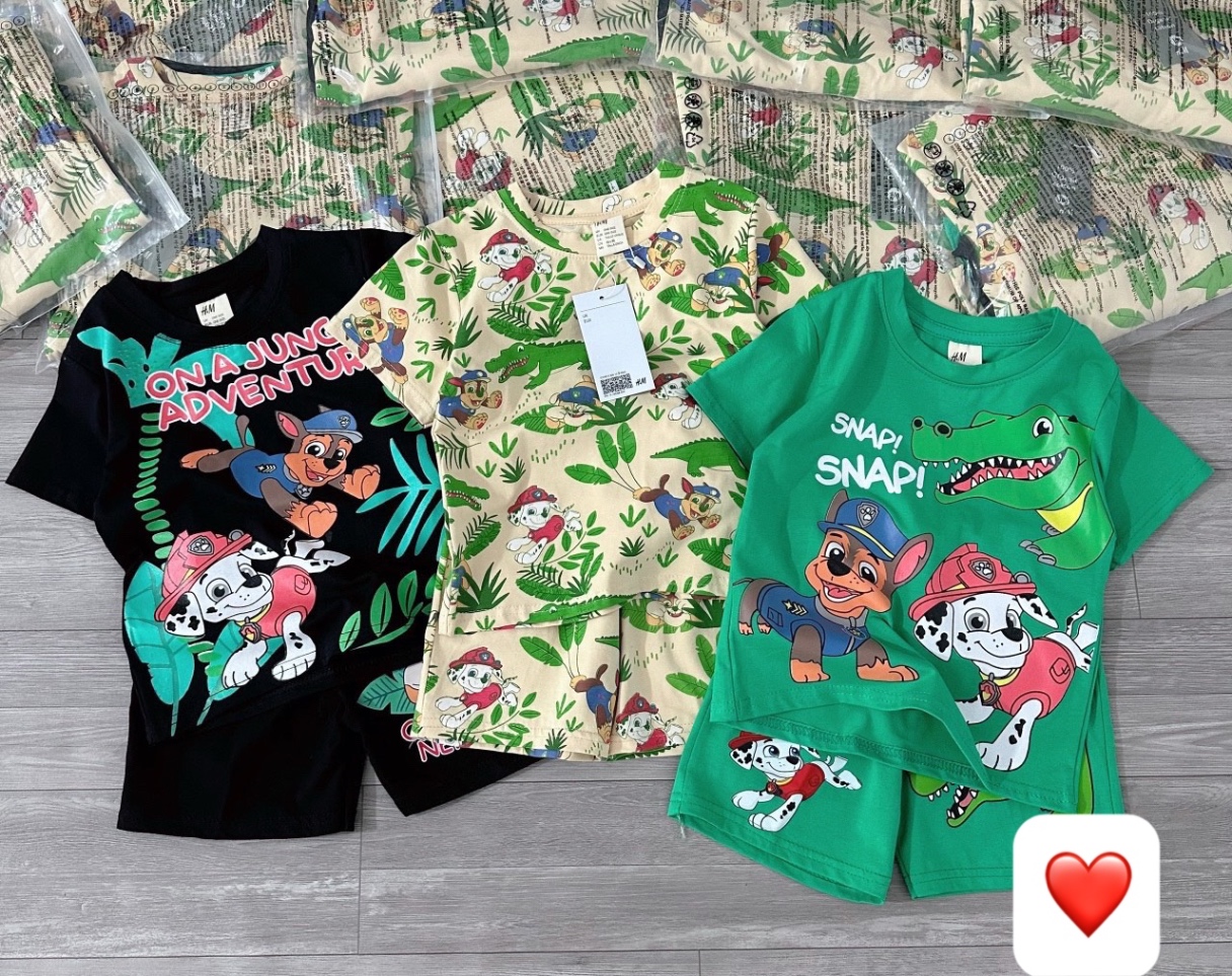 SET 3 BỘ CHÓ CỨU HỘ KHỦNG LONG XANH