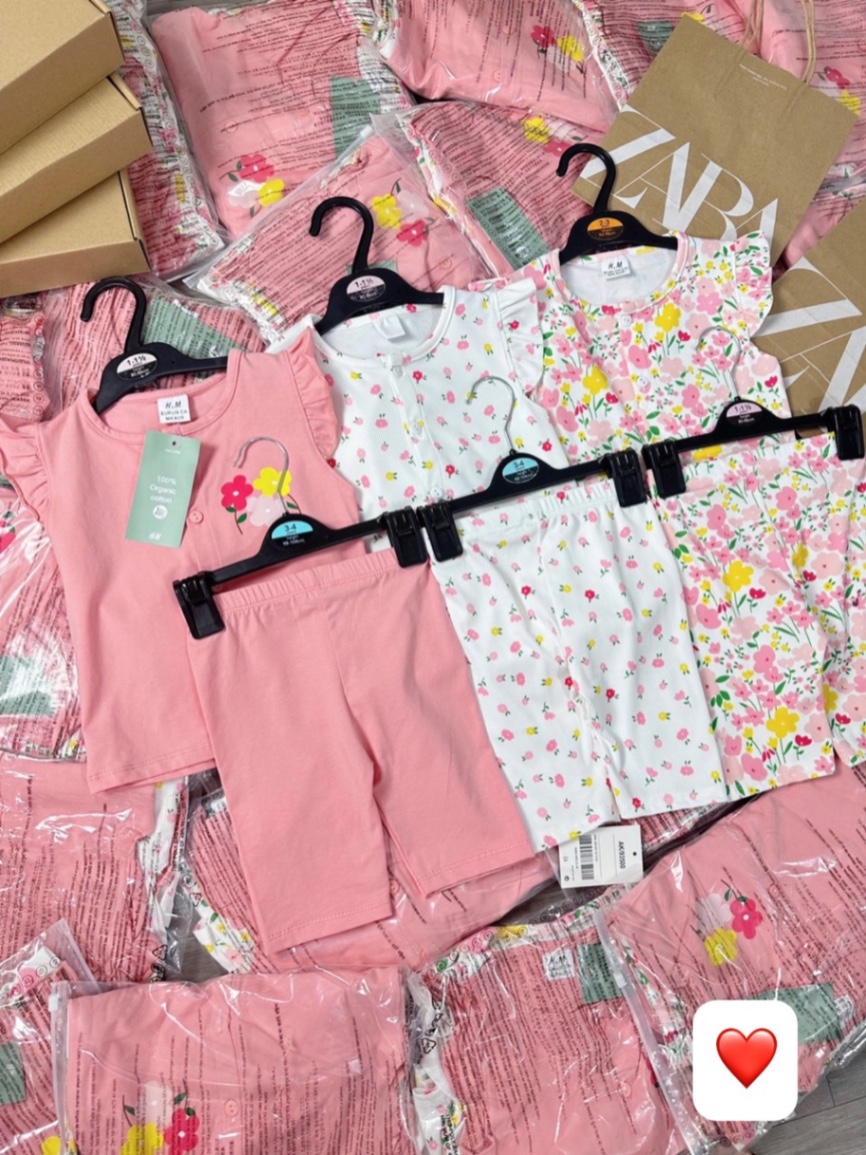 SET 3 BỘ HOA CẢI CÚC