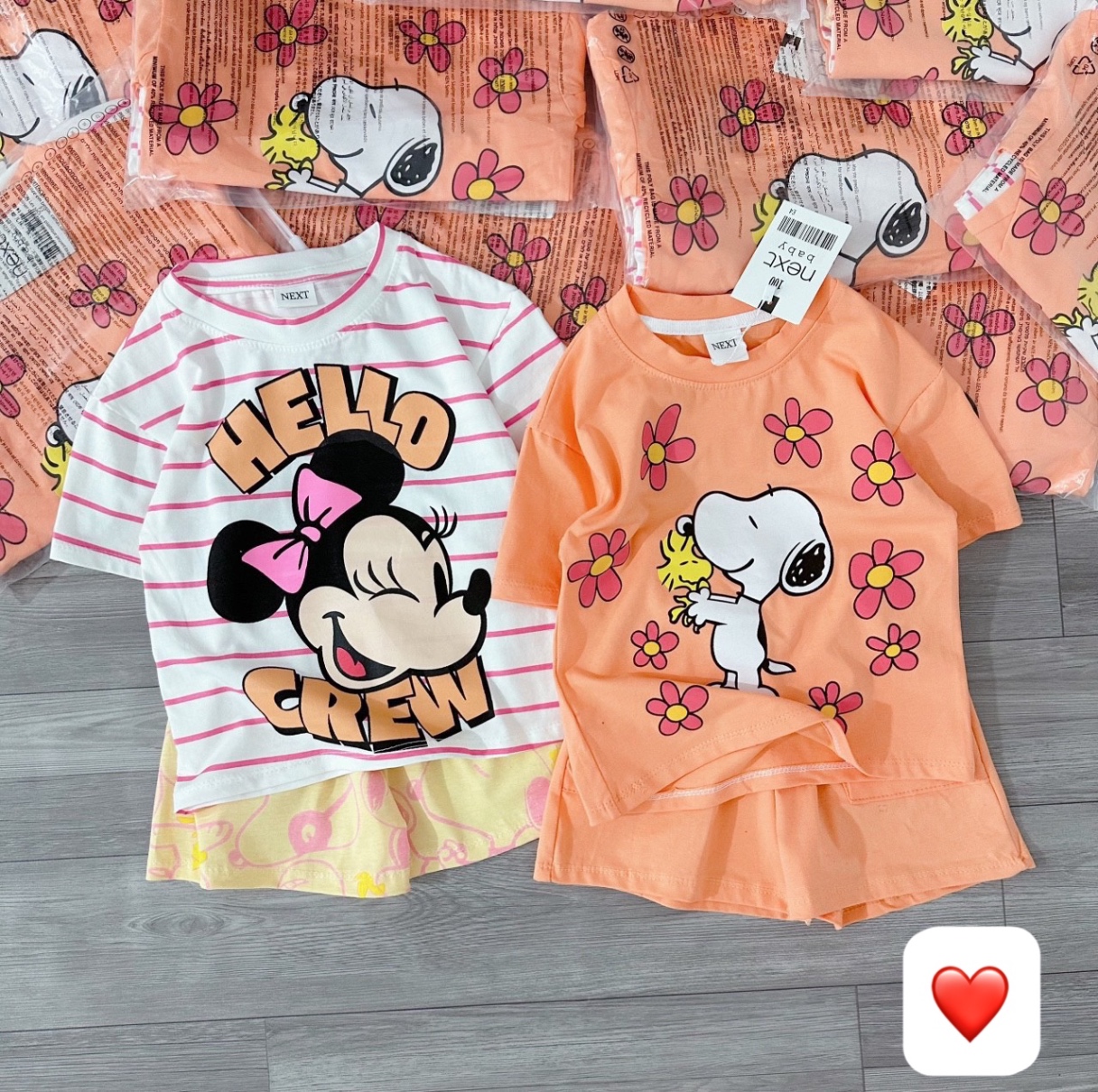 SET MICKEY SNOOPY TONE CAM