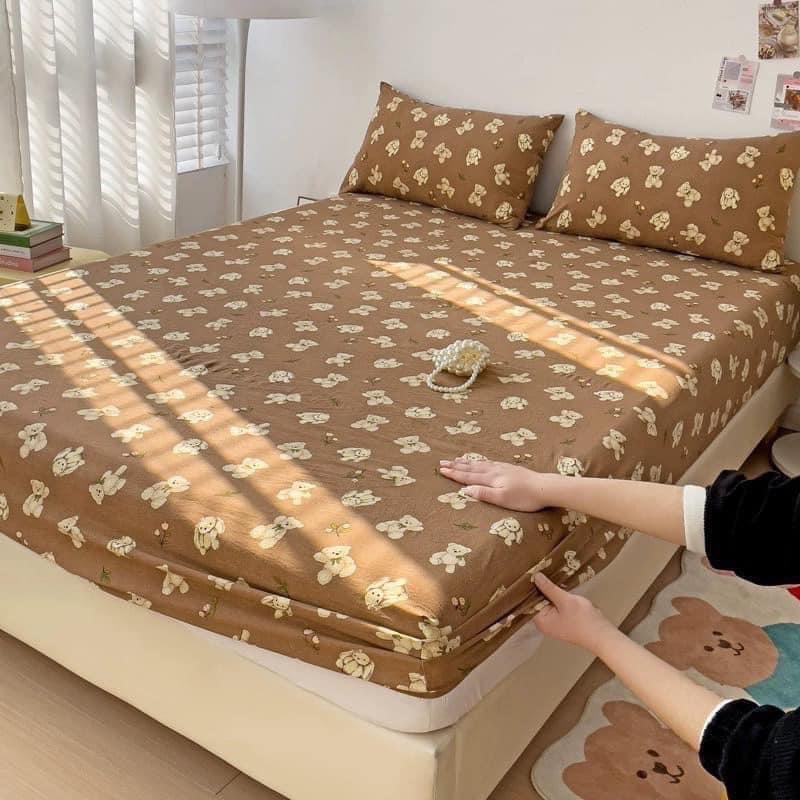 GA THỎ TONE NÂU M6+m8