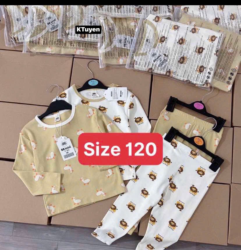set 2b sư tử vịt