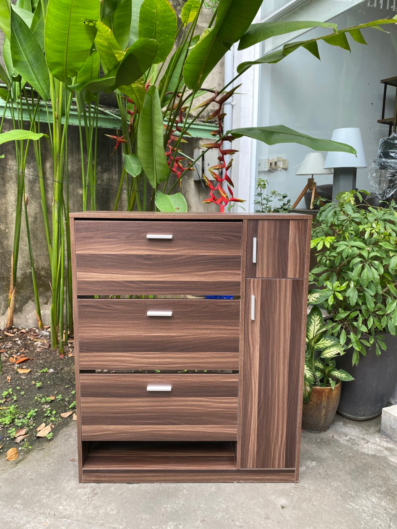 Shoe Cabinet 3