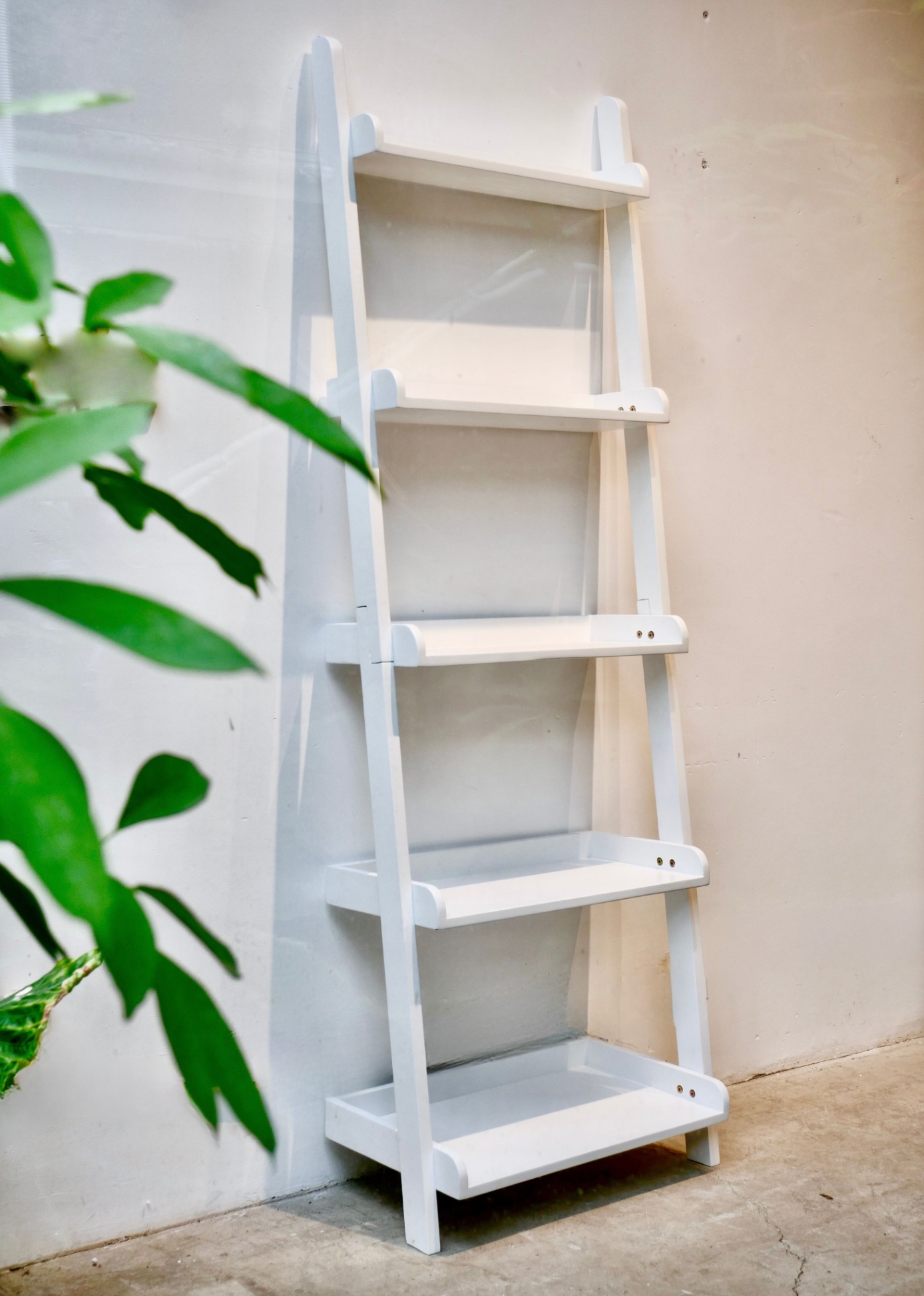 Bookcase Rubber Wood