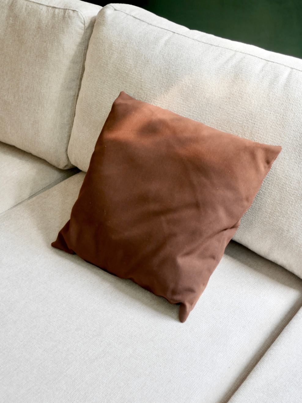 Pillow 21