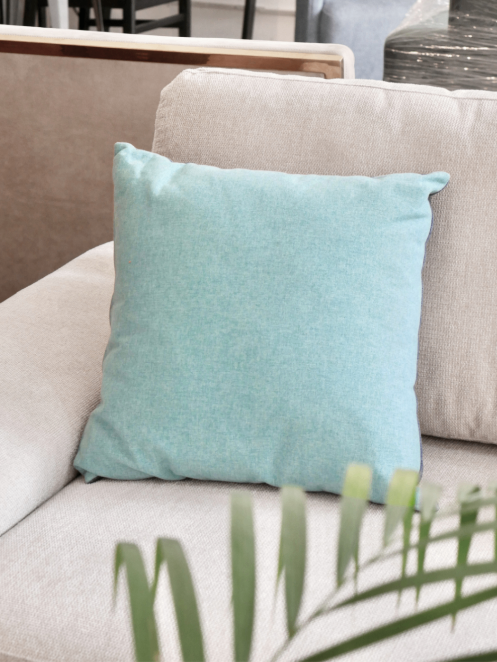 Pillow 17