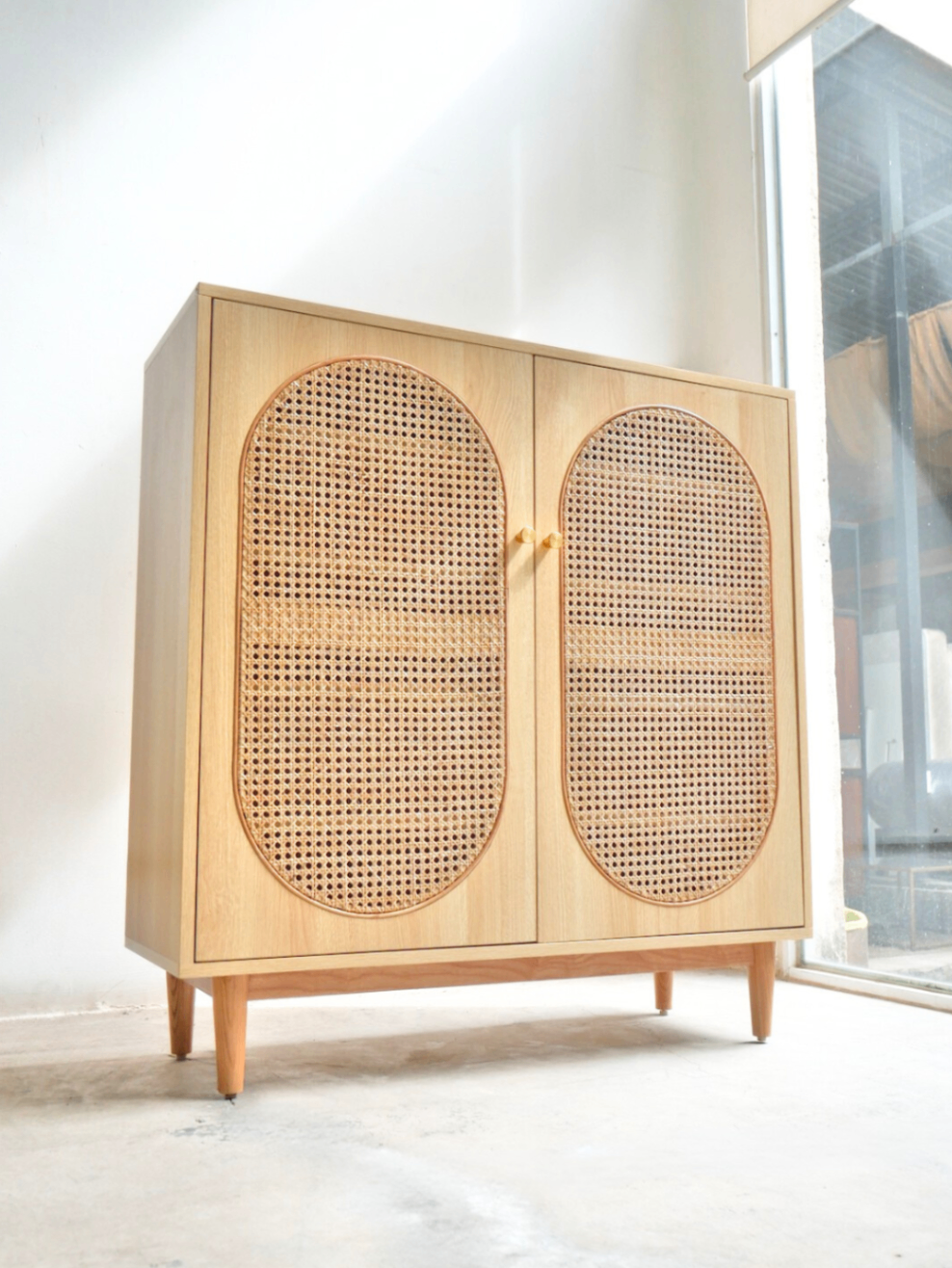 Shoe Cabinet 18