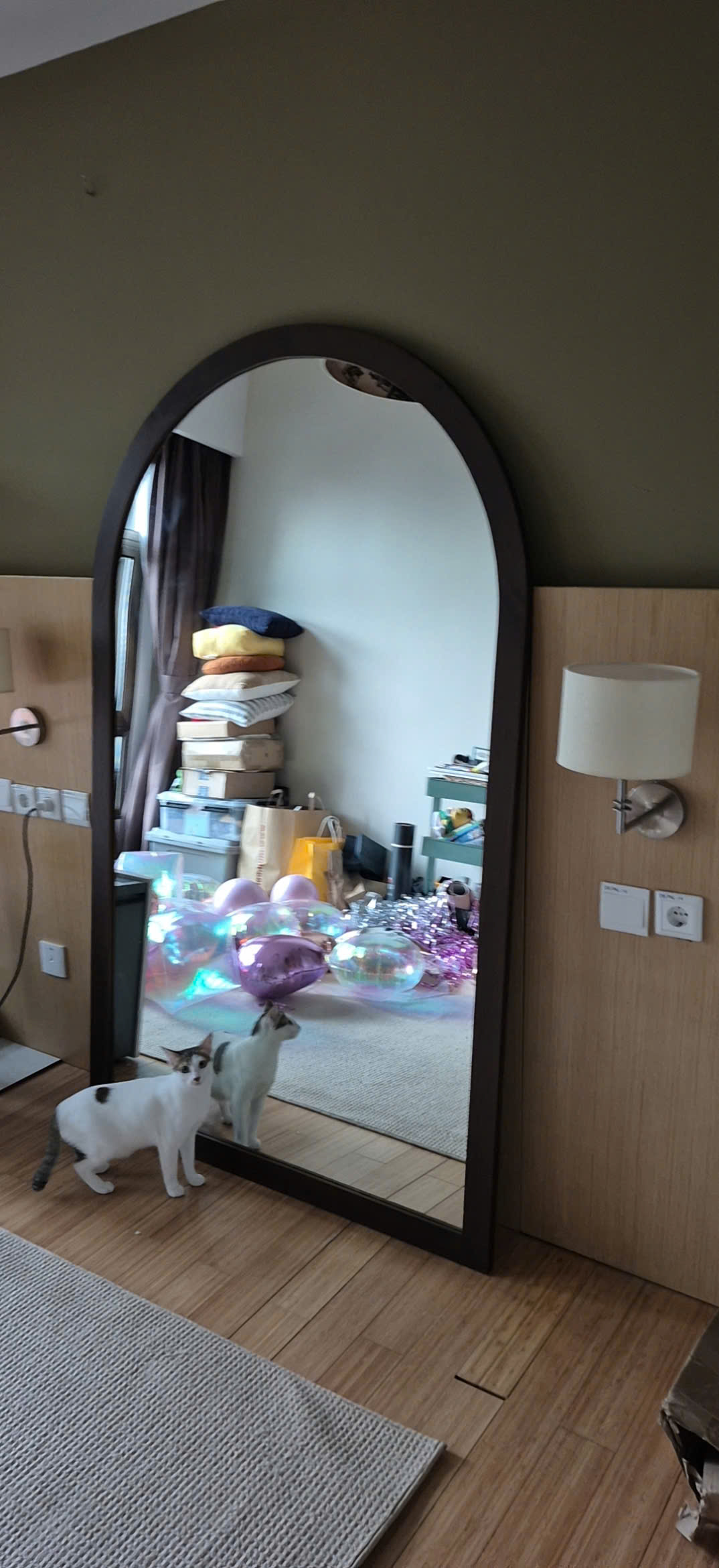 Mirror 43