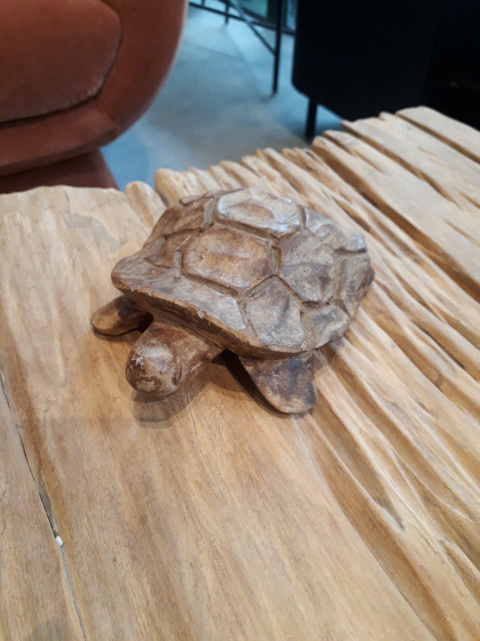 /turtle-06-p2170.html