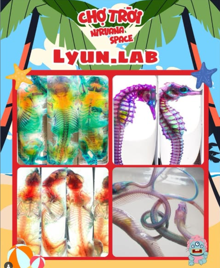 20250709_n6YODO0U.png