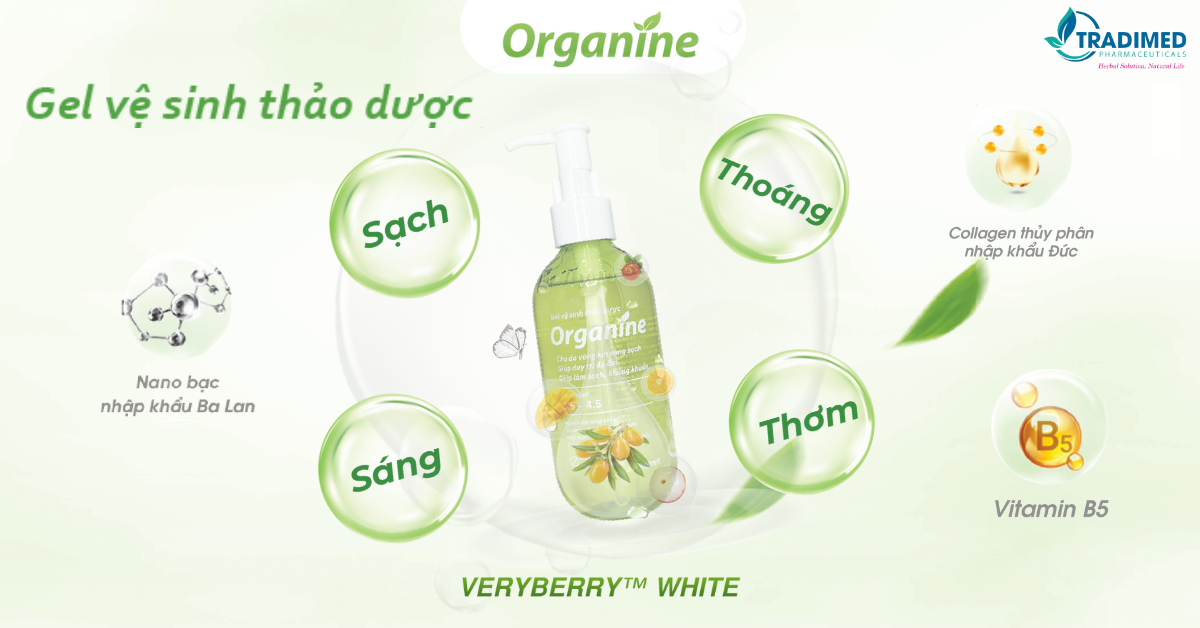Bac-si-canh-bao-Khi-hu-trang-duc-mui-hoi-dau-hieu-viem-nhiem-vung-kin-chi-em-hay-bo-qua_image-1.png