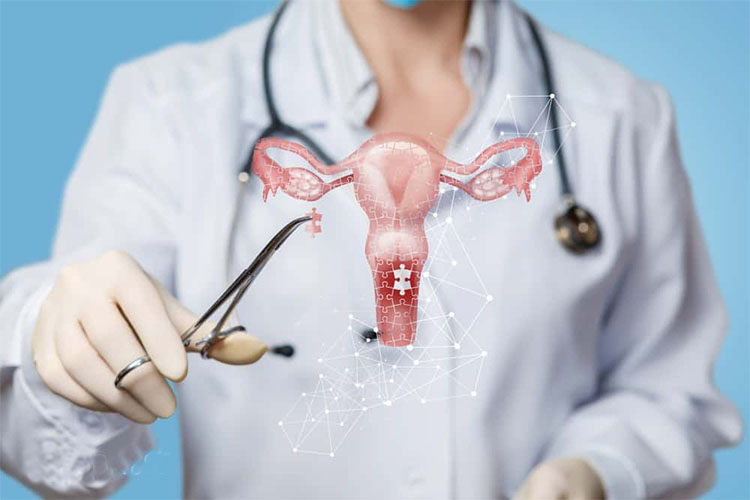 Nội tiết vùng kín: Hiểu đúng để chăm sóc sức khỏe phụ nữ toàn diện