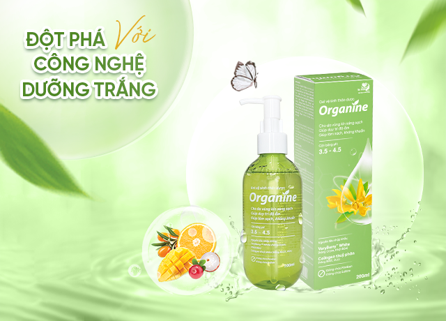 Phân định trách nhiệm của thương nhân, tổ chức cung ứng dịch vụ logistics về cung cấp chứng từ hàng hóa trong quá trình giao nhận