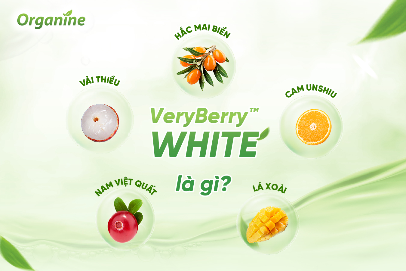 VeryBerry™ WHITE - Bí mật trái cây từ Nhật Bản giúp dưỡng sáng da một cách tự nhiên