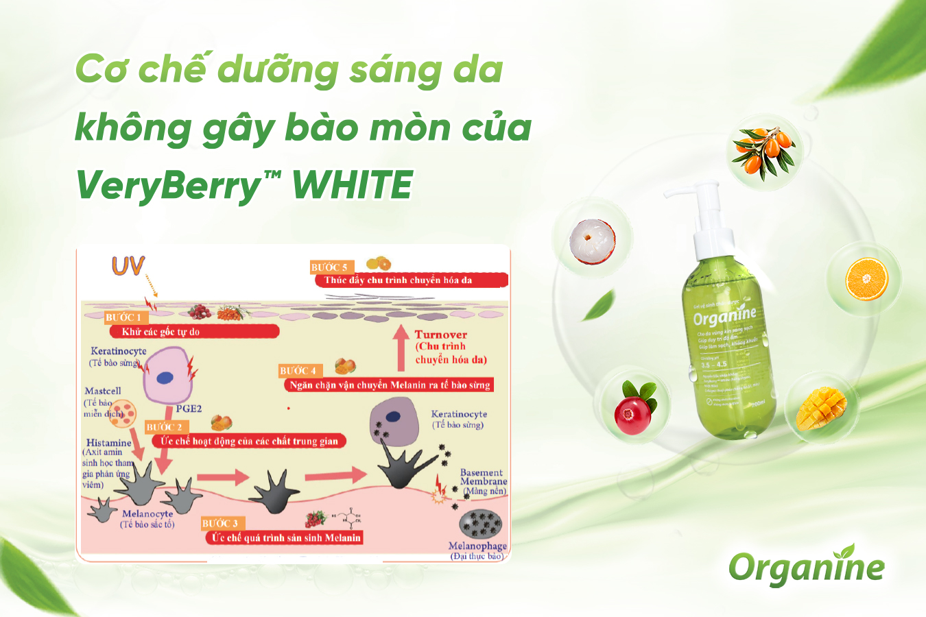 VeryBerry™ WHITE - Bí mật trái cây từ Nhật Bản giúp dưỡng sáng da một cách tự nhiên