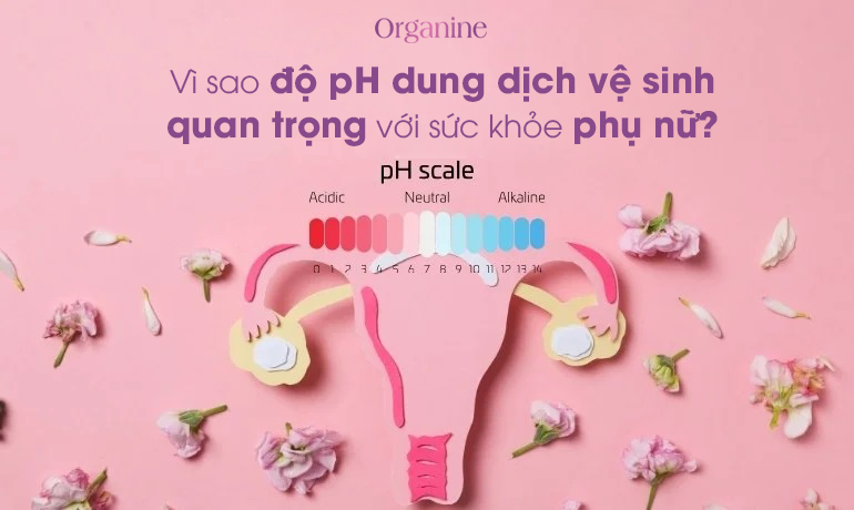 Vì sao độ pH của dung dịch vệ sinh quan trọng đối với sức khỏe phụ nữ