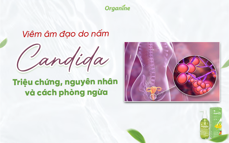 Viêm âm đạo do nấm Candida: triệu chứng, nguyên nhân và cách phòng ngừa