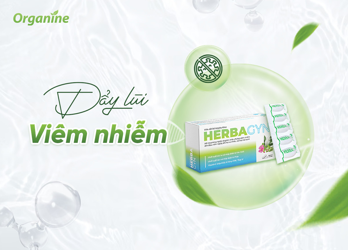 Viên đặt thảo dược hỗ trợ giảm viêm ngứa an toàn, lành tính