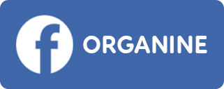 Banner Facebook