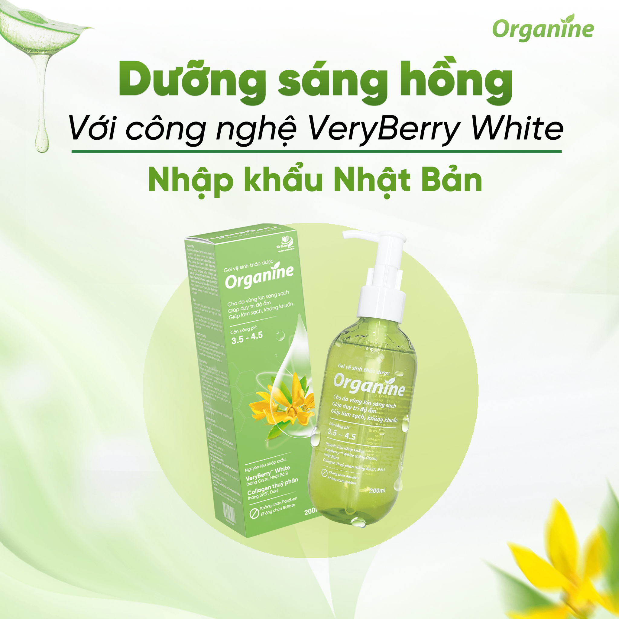 Gel vệ sinh thảo dược Organine 200ml