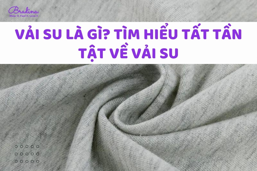 Vải Su Là Gì? Tìm Hiểu Tất Tần Tật Về Vải Su