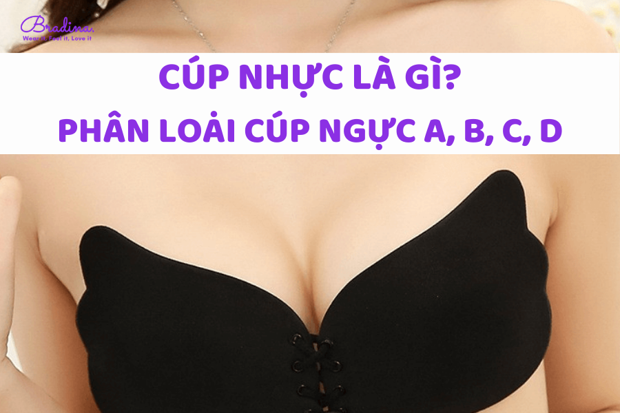 Cúp ngực là gì? Phân biệt cúp ngực A, B, C và D