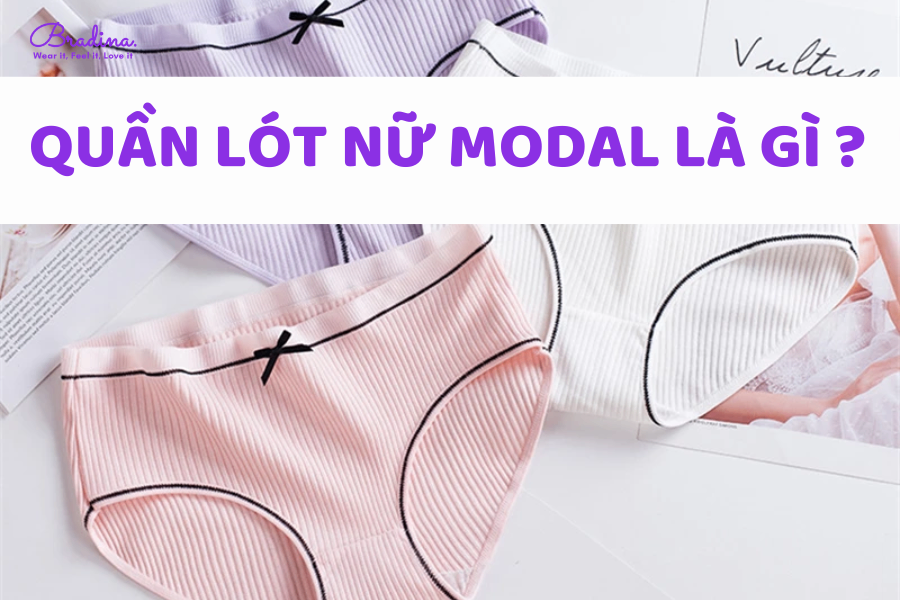 Quần lót nữ Modal là gì? Mua quần lót Modal nữ ở đâu mặc đẹp thoải mái?