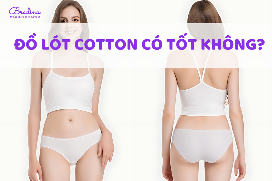 Đồ lót cotton có tốt không? Vì sao đồ lót cotton được yêu thích?