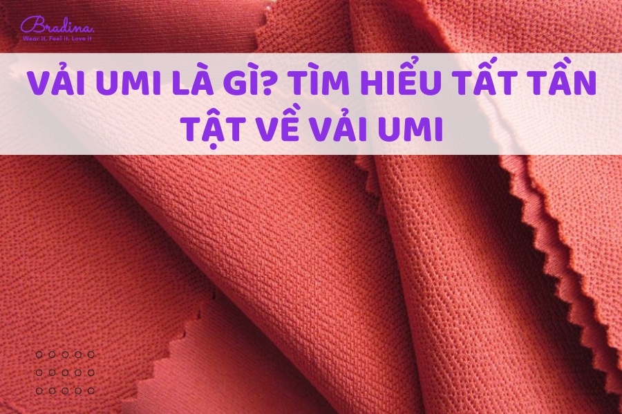 Vải Umi Là Gì? Tìm Hiểu Tất Tần Tật Về Vải Umi