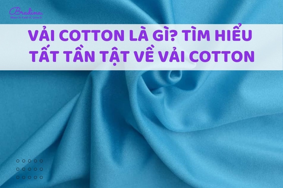 Vải cotton là gì? Thông tin về vải cotton bạn nên biết