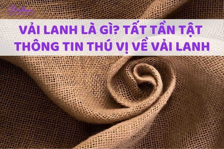 Vải lanh là gì? Đặc điểm, công dụng của vải lanh