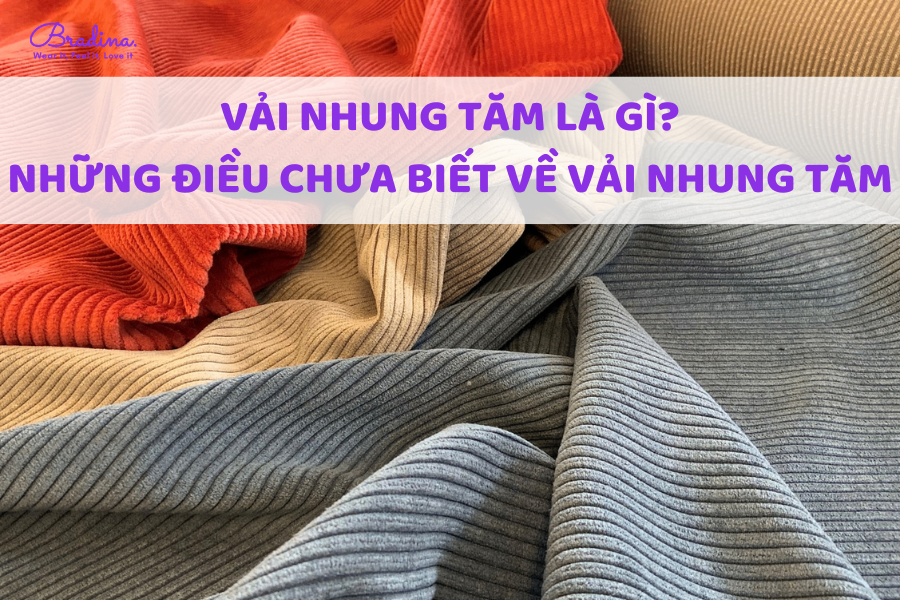 Vải nhung tăm là gì? Khám phá những điều chưa biết về vải nhung tăm