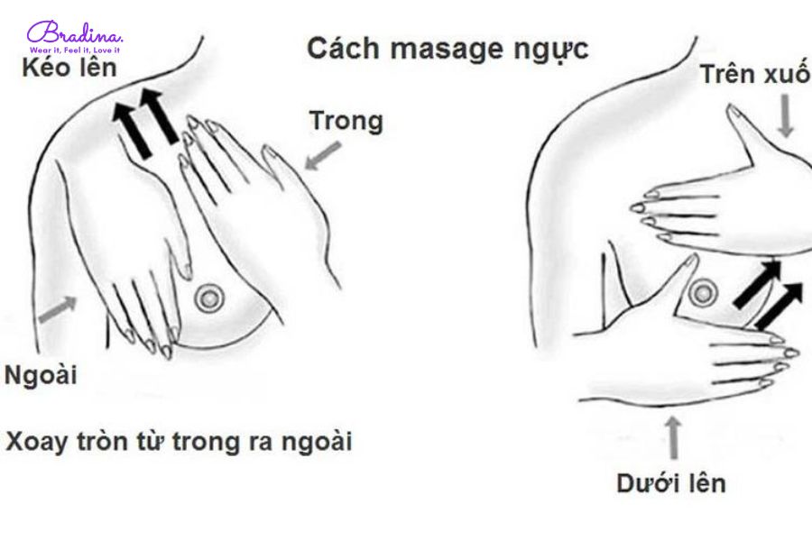 Massge vòng 1 để kích thích tăng vòng 1 tuổi dậy thì