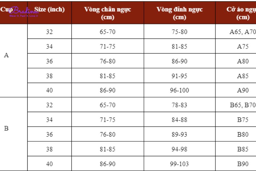 Size áo lót nhỏ nhất là bao nhiêu và bảng size áo lót