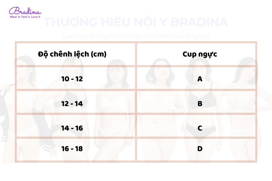 Bảng thông số cup ngực