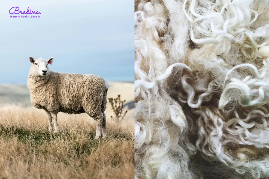 Vải áo giữ nhiệt Merino Wool