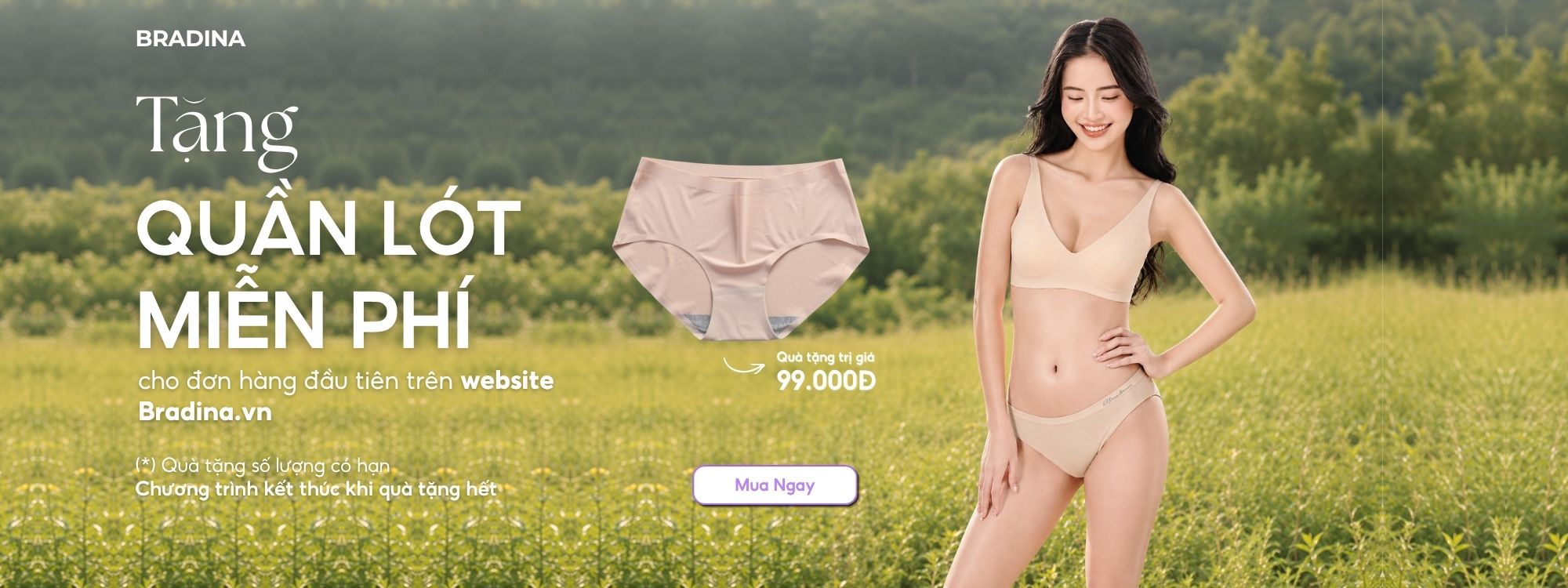 Banner Blog