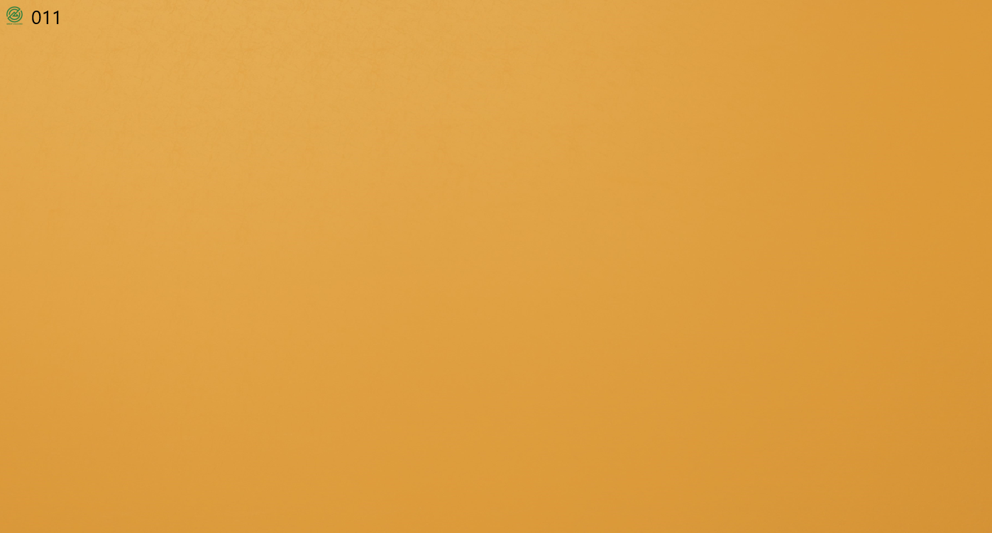 011_011-1.png