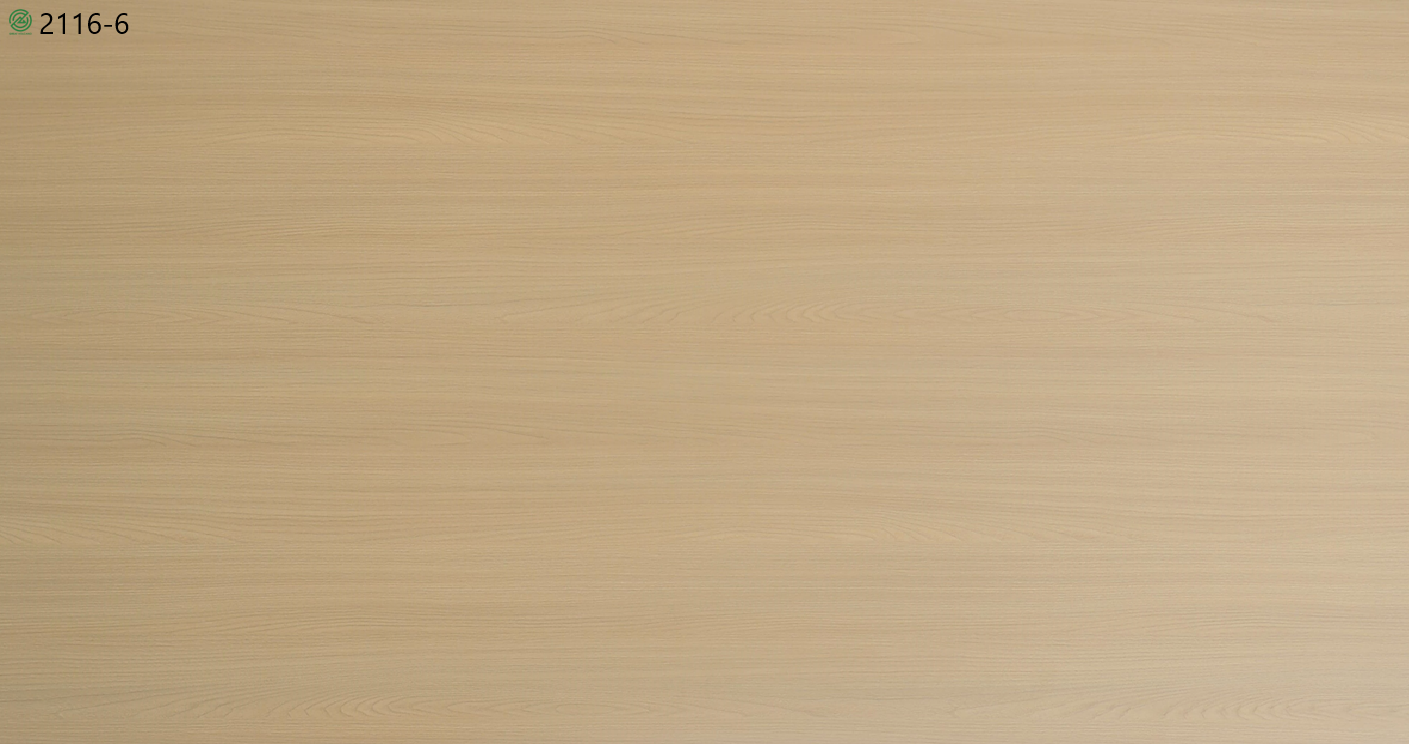 2116-6