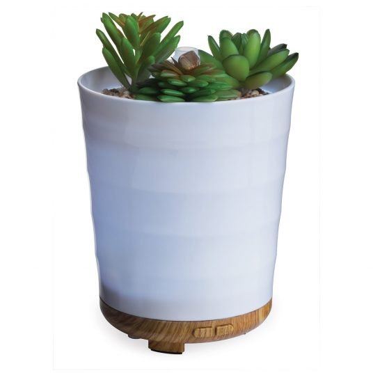 Đèn Khuếch Tán Tinh Dầu Airome - Potted Succulent - 100ml