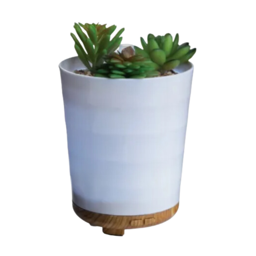 Đèn Khuếch Tán Tinh Dầu Airome - Potted Succulent - 100ml