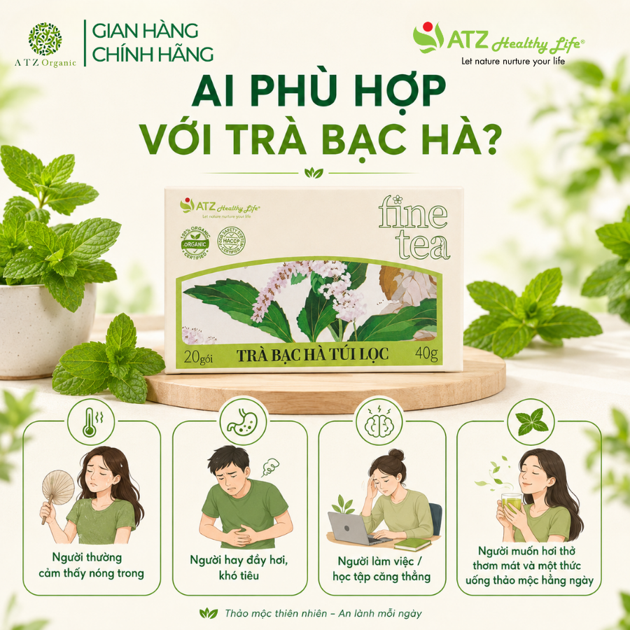Trà Bạc Hà Túi Lọc - 40g