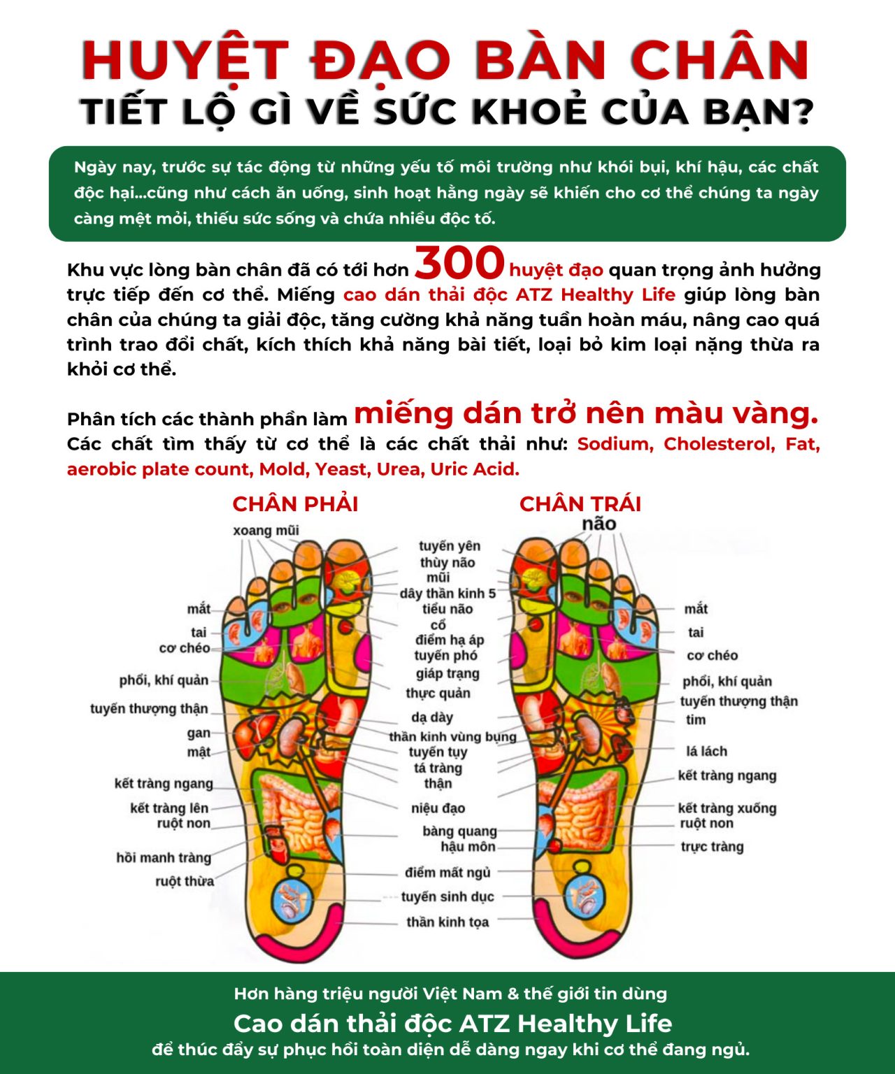 Công dụng cao dán thải độc