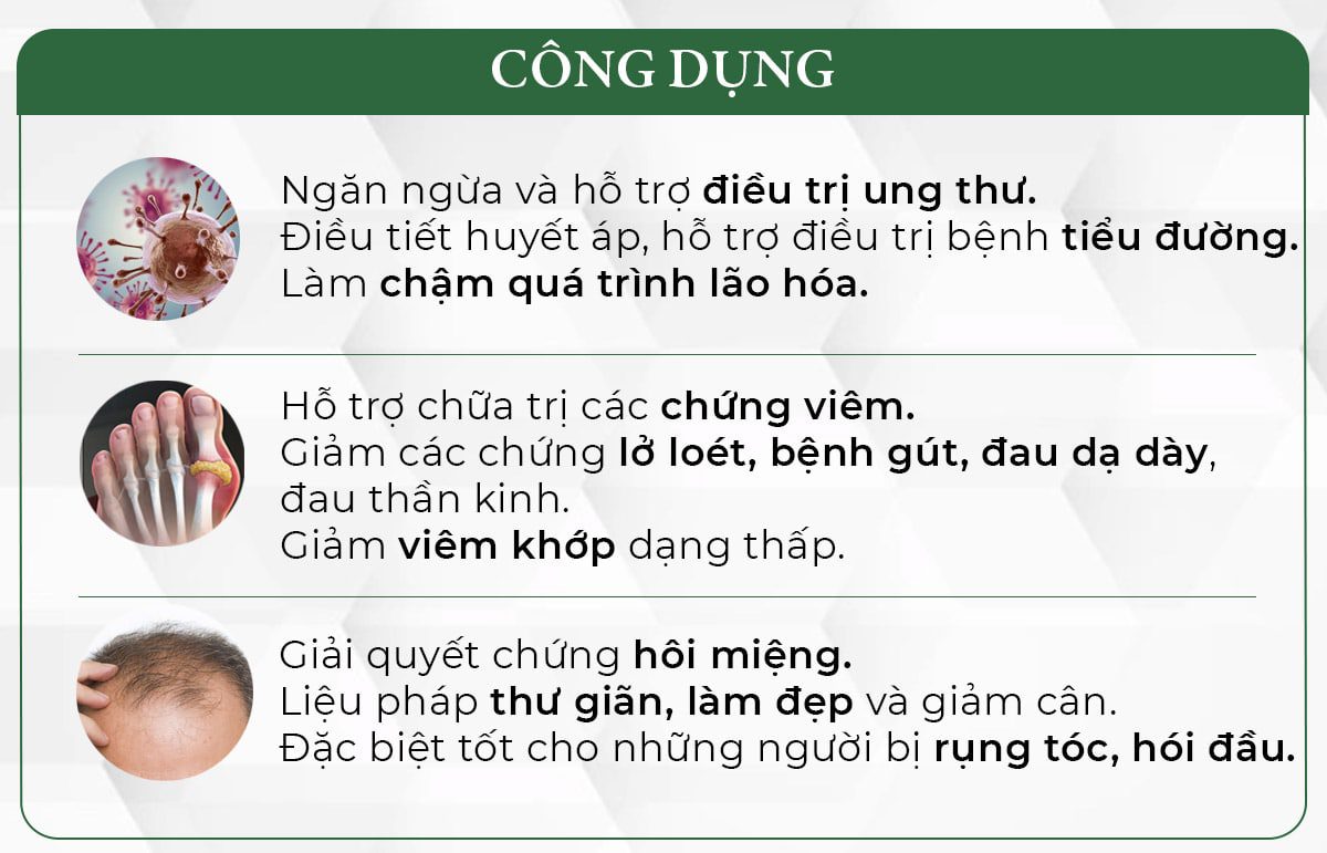 Công dụng tinh dầu thông viên