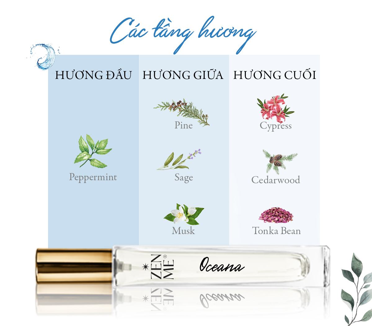 các tầng hương Nước Hoa Zenme - Oceana