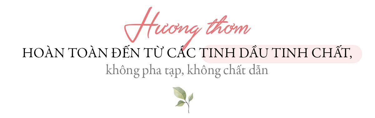 tinh dầu tinh chất, không pha tạp, không chất dẫn