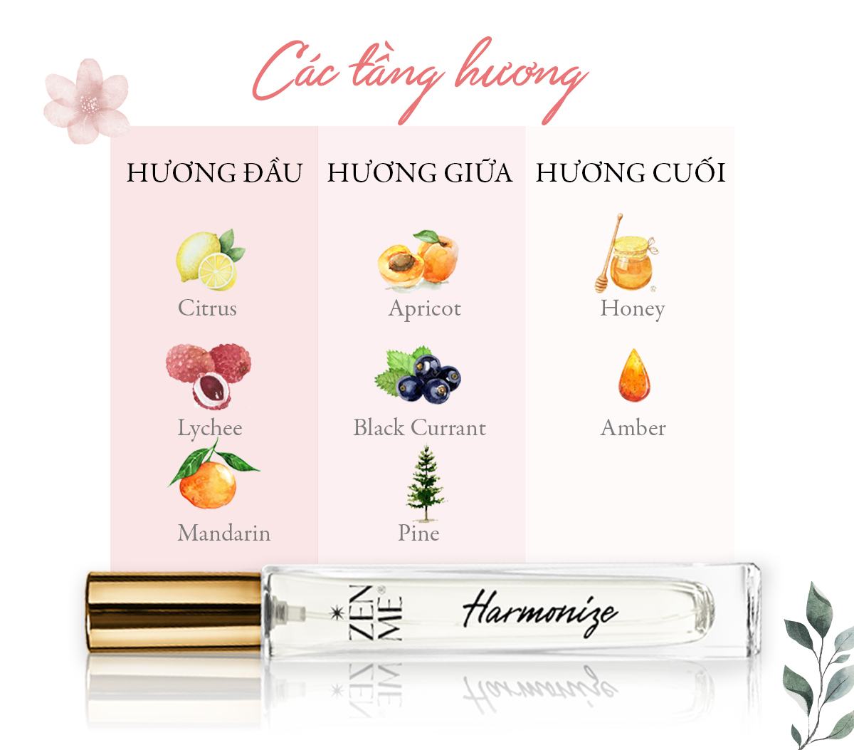 các tầng hương Nước Hoa Zenme - Harmonize