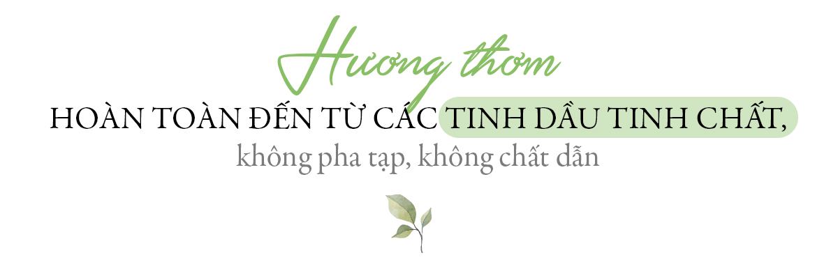 tinh dầu tinh chất, không pha tạp, không chất dẫn