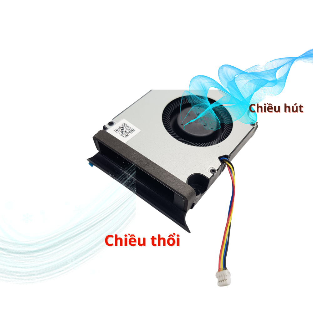 20250117_X17jpi6l.png