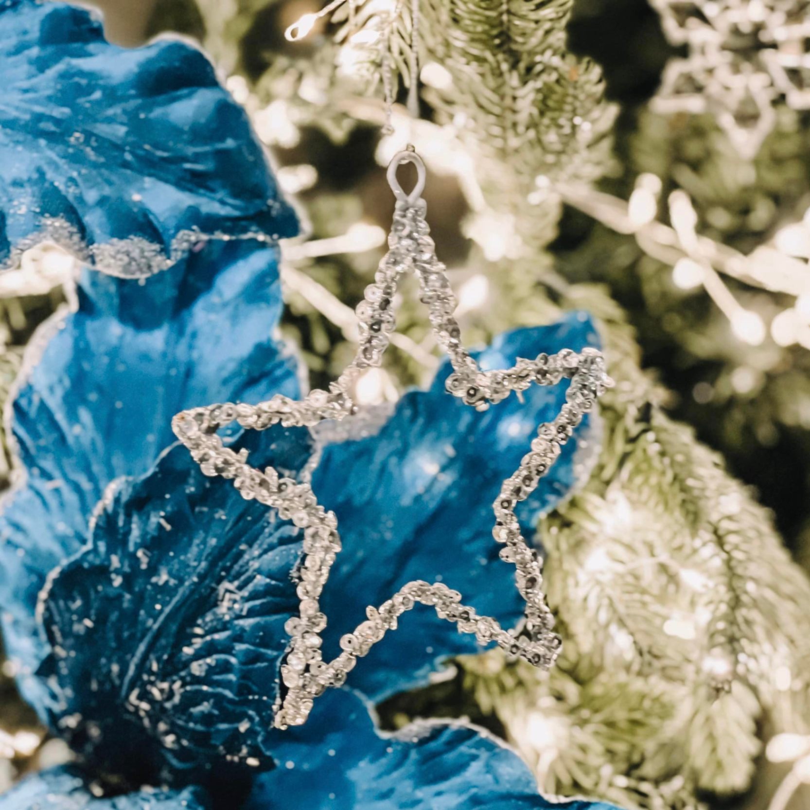 Sparking Star Ornament W23 - Ngôi Sao Lấp Lánh